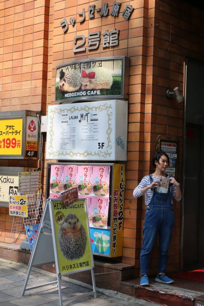Állati kávézó, Tokió